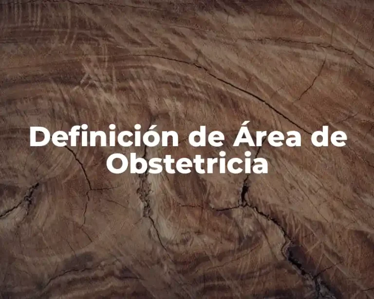 Definición de Área de Obstetricia