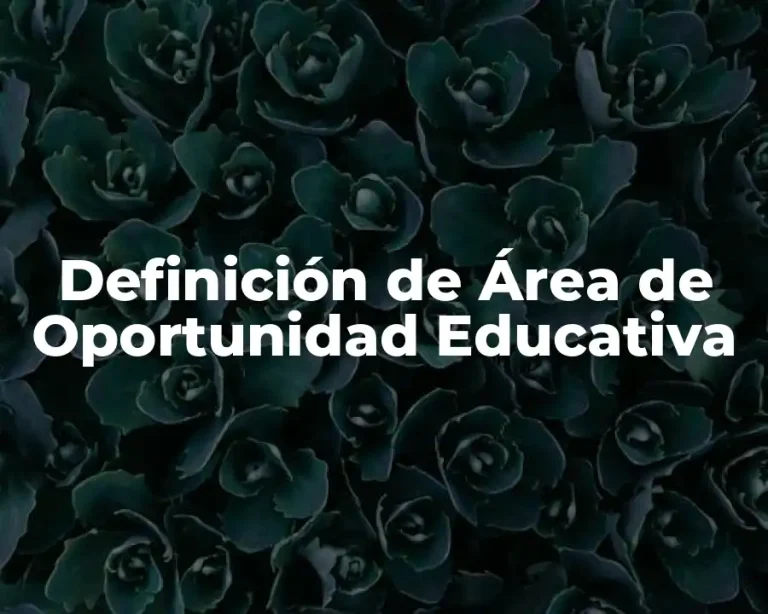 Definición de Área de Oportunidad Educativa