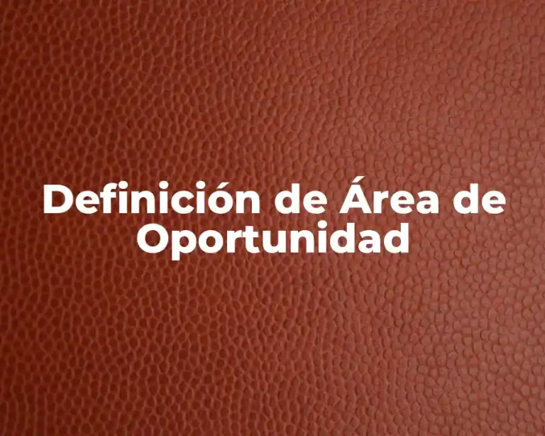 Definición de Área de Oportunidad