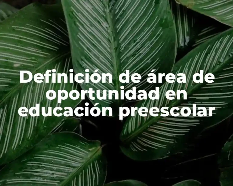 Definición de área de oportunidad en educación preescolar