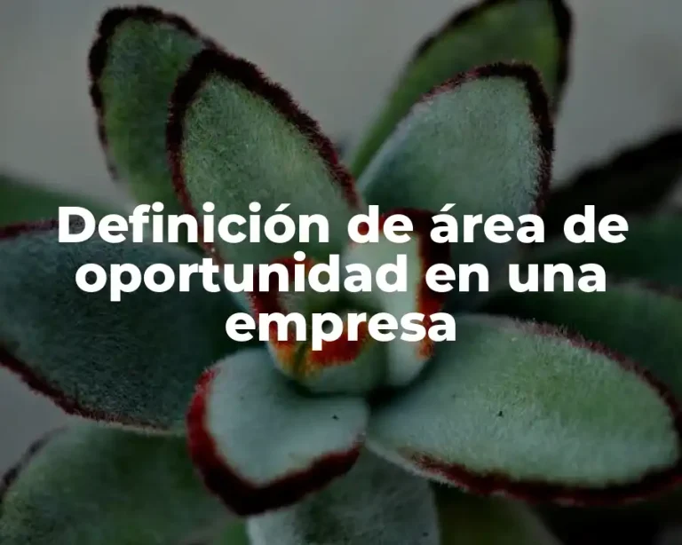 Definición de área de oportunidad en una empresa