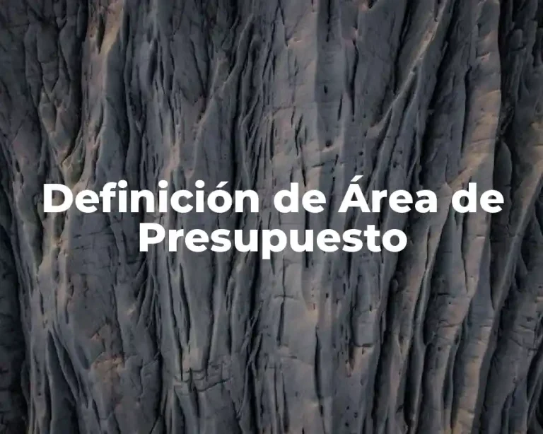 Definición de Área de Presupuesto