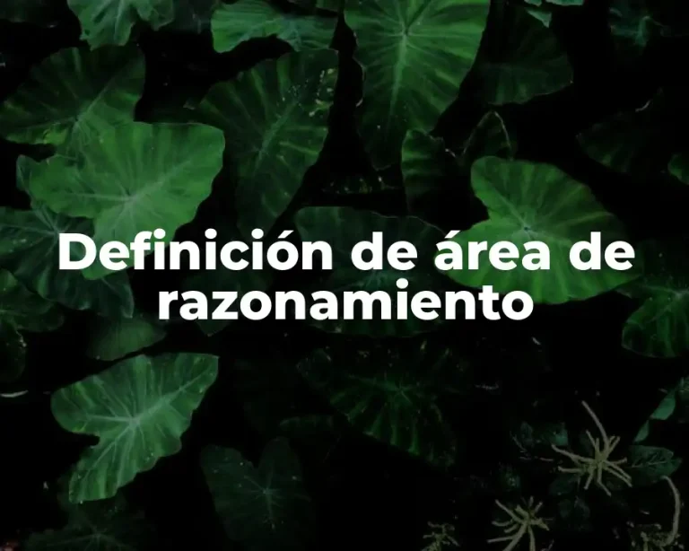 Definición de área de razonamiento