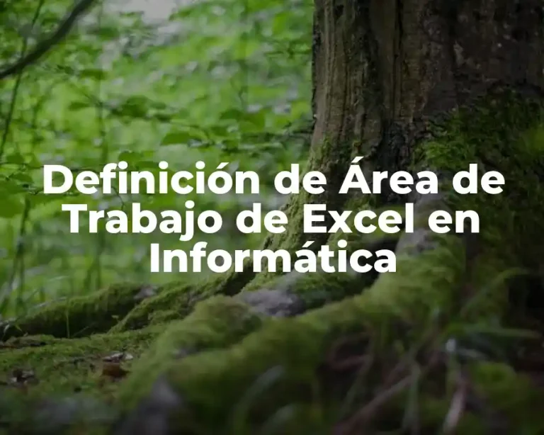 Definición de Área de Trabajo de Excel en Informática