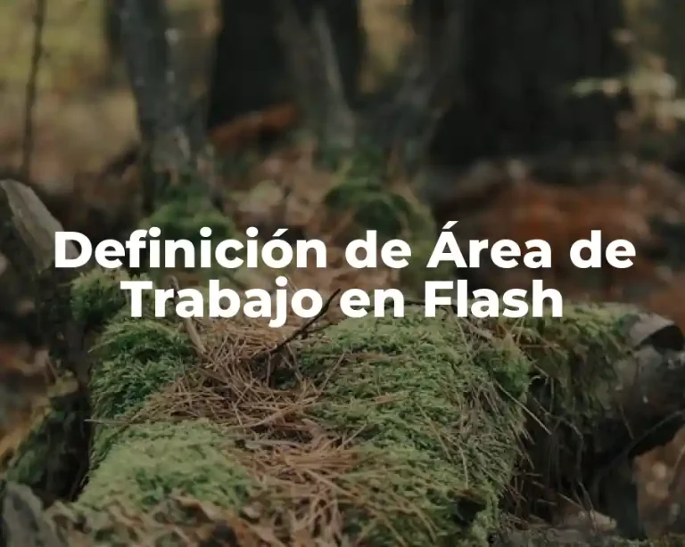 Definición de Área de Trabajo en Flash