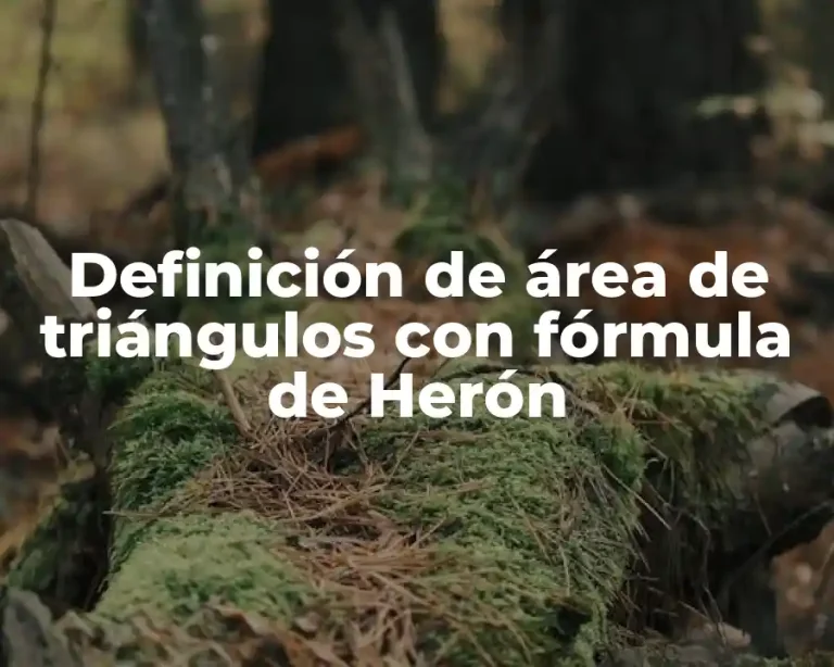Definición de área de triángulos con fórmula de Herón