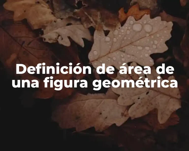 Definición de área de una figura geométrica