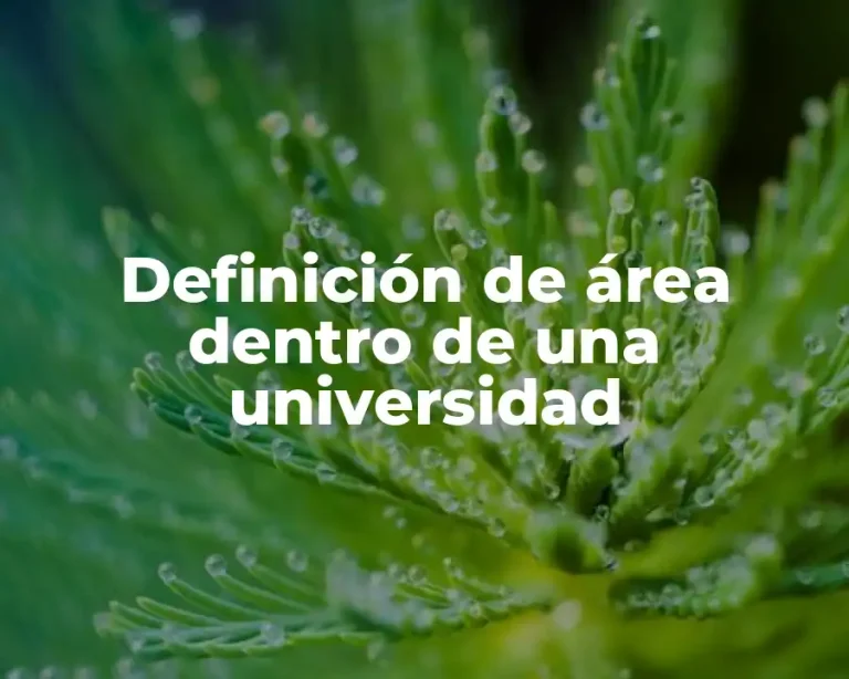 Definición de área dentro de una universidad