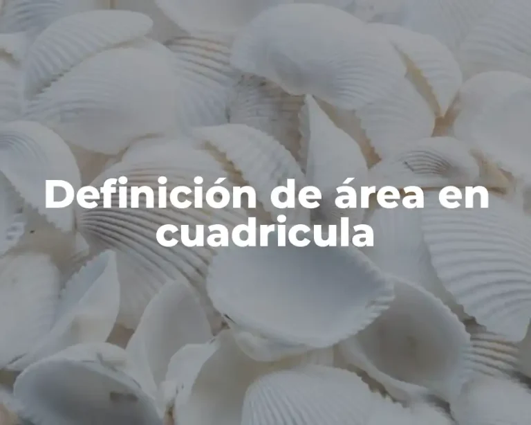 Definición de área en cuadricula