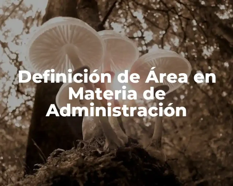 Definición de Área en Materia de Administración