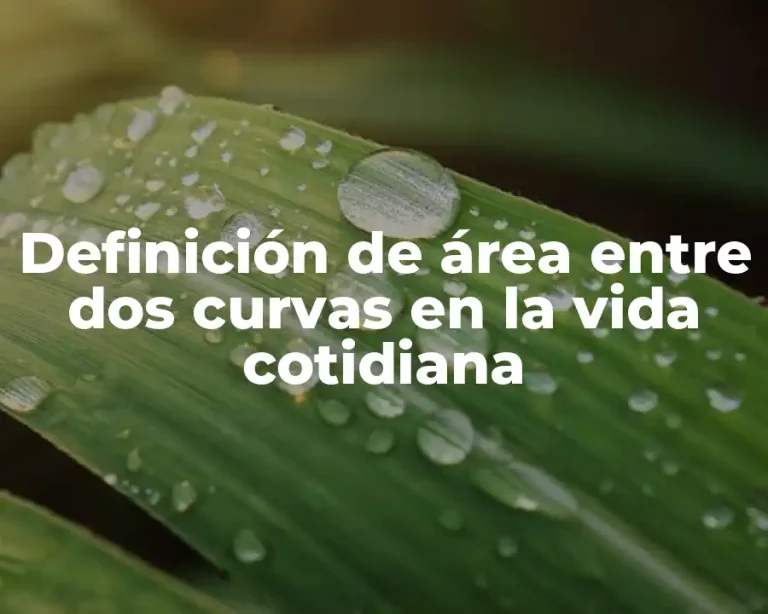 Definición de área entre dos curvas en la vida cotidiana