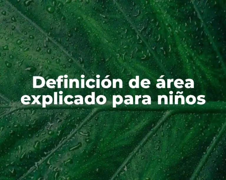 Definición de área explicado para niños