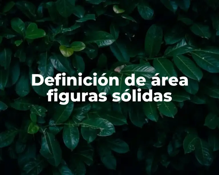 Definición de área figuras sólidas