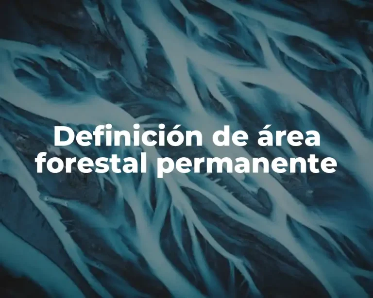 Definición de área forestal permanente