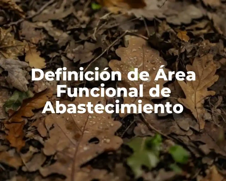 Definición de Área Funcional de Abastecimiento