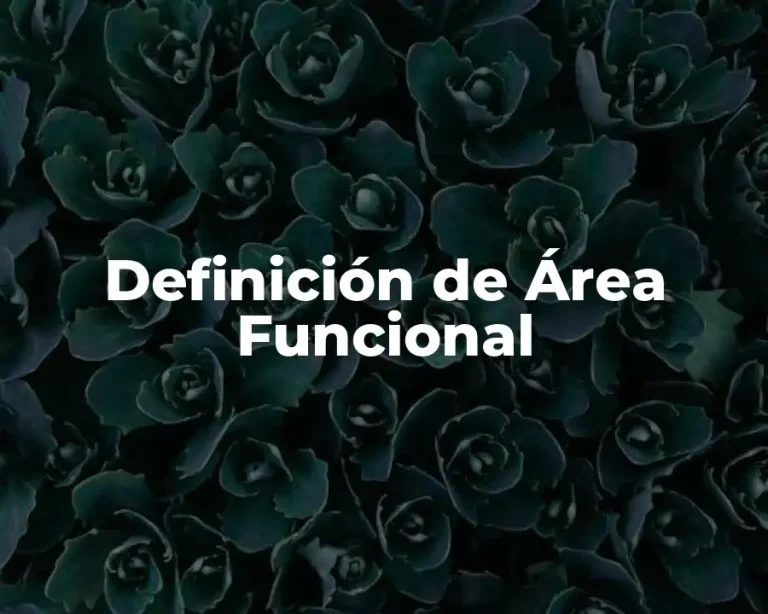 Definición de Área Funcional