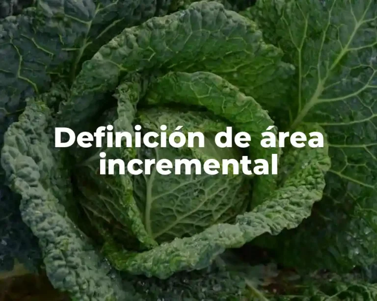 Definición de área incremental
