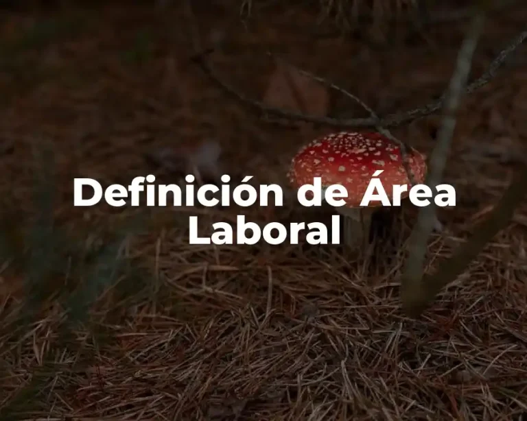 Definición de Área Laboral