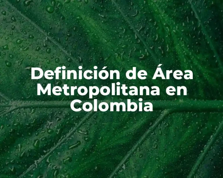 Definición de Área Metropolitana en Colombia