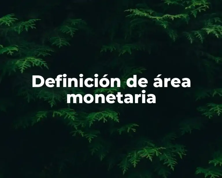 Definición de área monetaria