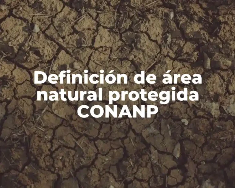 Definición de área natural protegida CONANP