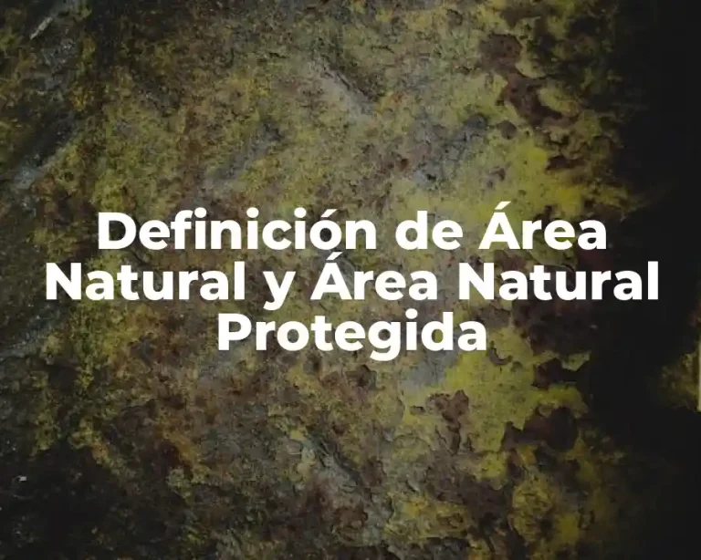 Definición de Área Natural y Área Natural Protegida