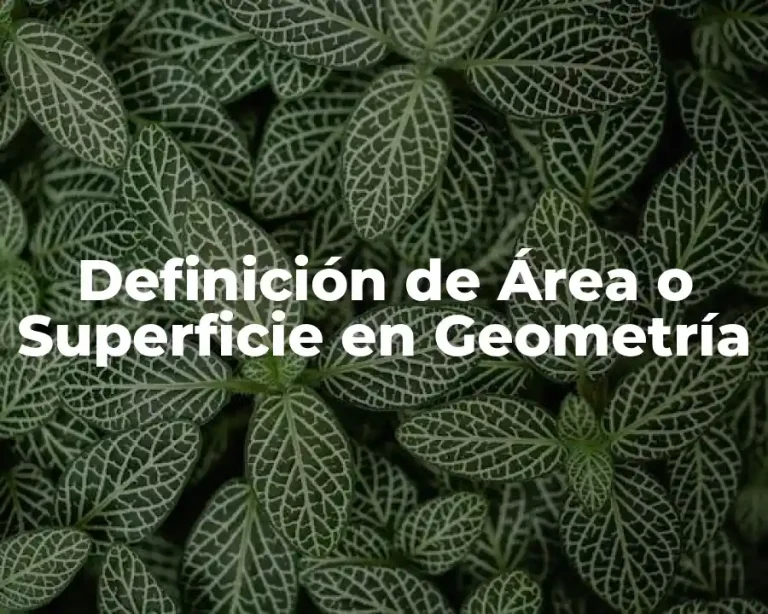 Definición de Área o Superficie en Geometría