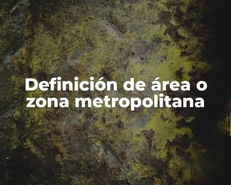 Definición de área o zona metropolitana