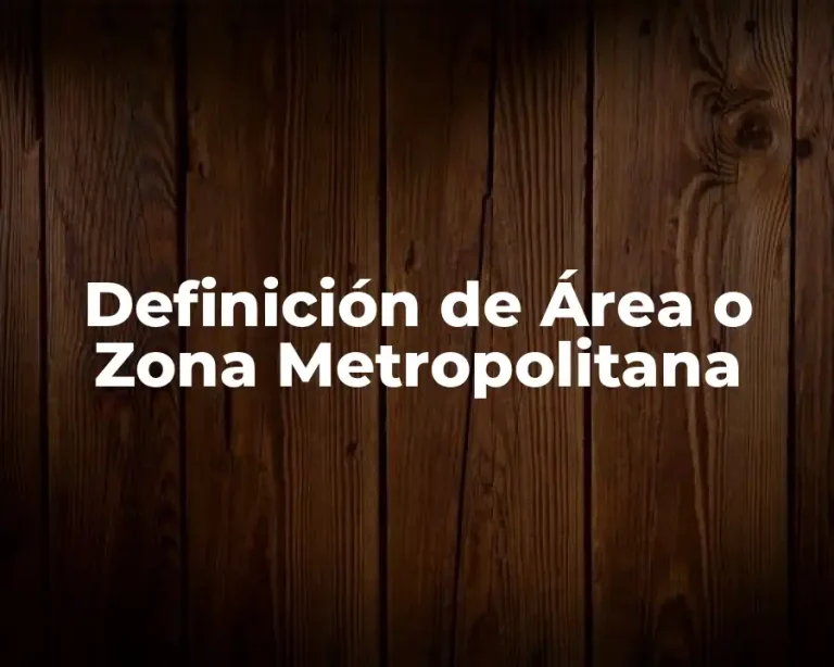 Definición de Área o Zona Metropolitana