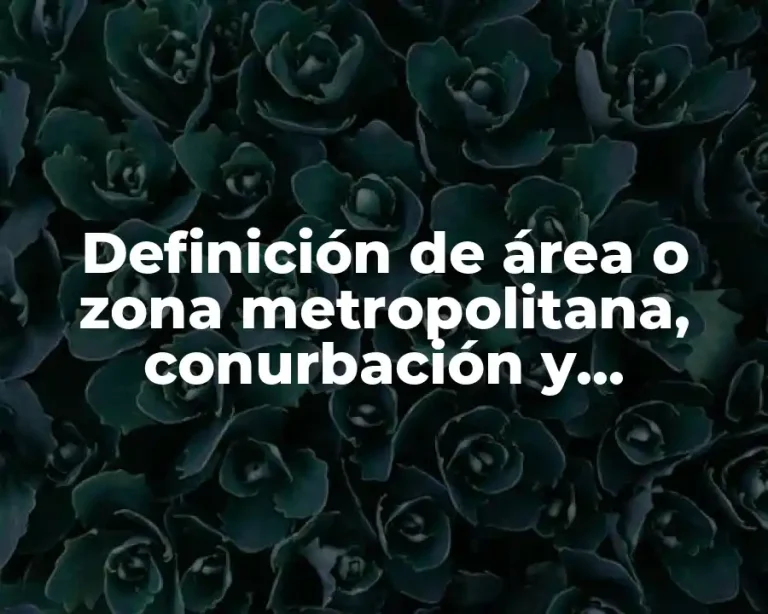 Definición de área o zona metropolitana, conurbación y megalópolis
