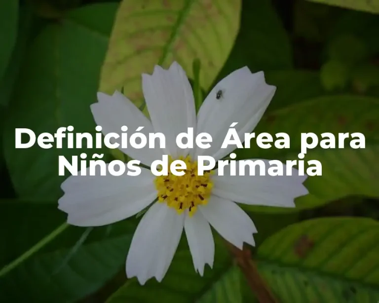 Definición de Área para Niños de Primaria