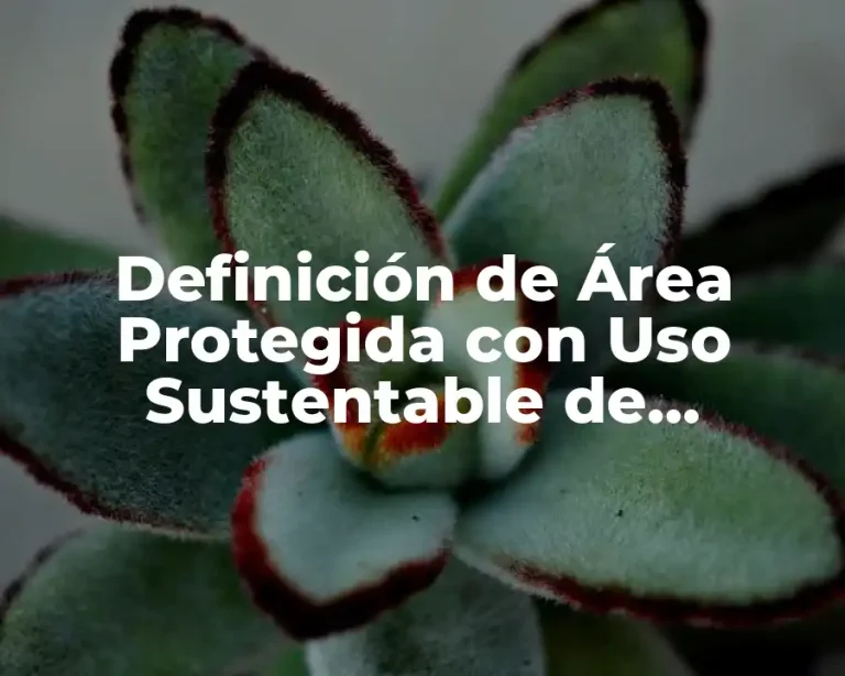 Definición de Área Protegida con Uso Sustentable de Recursos Naturales