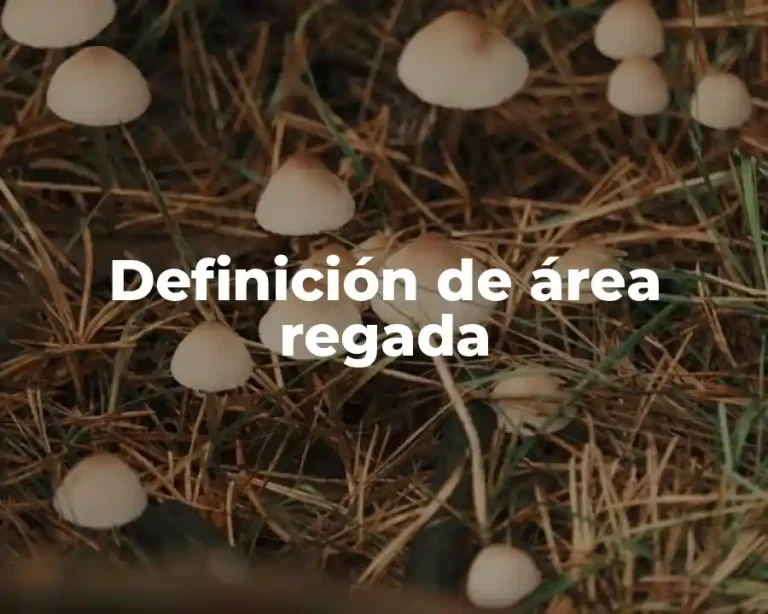 Definición de área regada