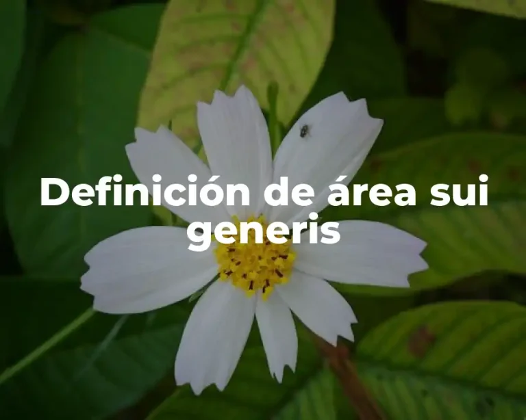 Definición de área sui generis