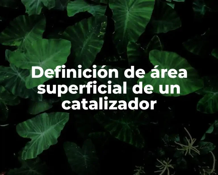 Definición de área superficial de un catalizador