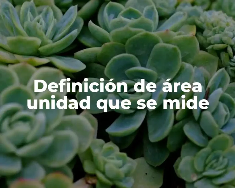Definición de área unidad que se mide