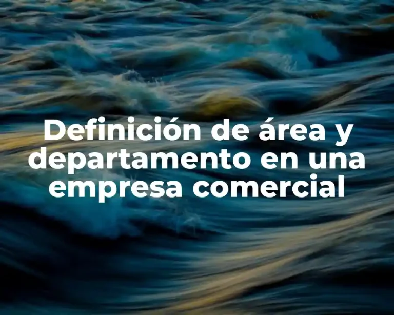 Definición de área y departamento en una empresa comercial