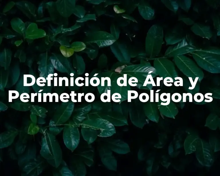 Definición de Área y Perímetro de Polígonos