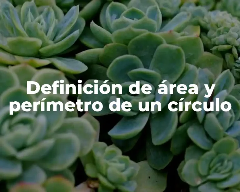 Definición de área y perímetro de un círculo
