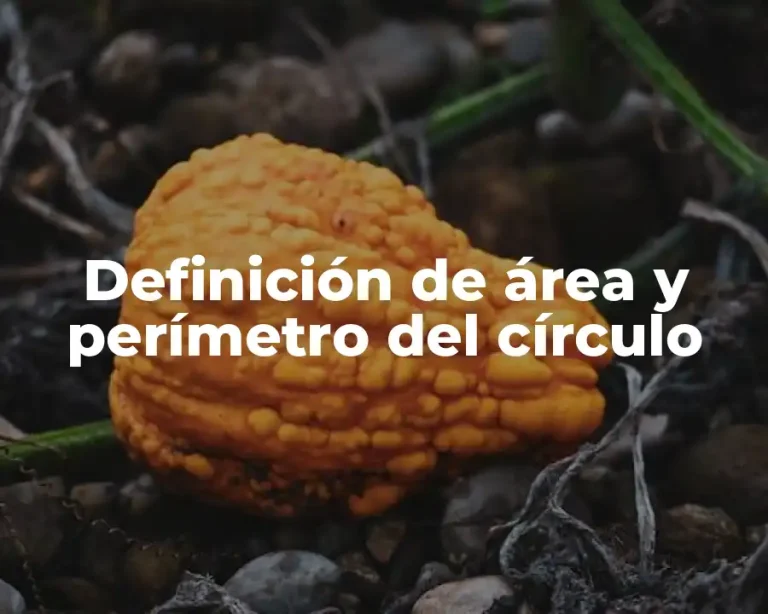 Definición de área y perímetro del círculo