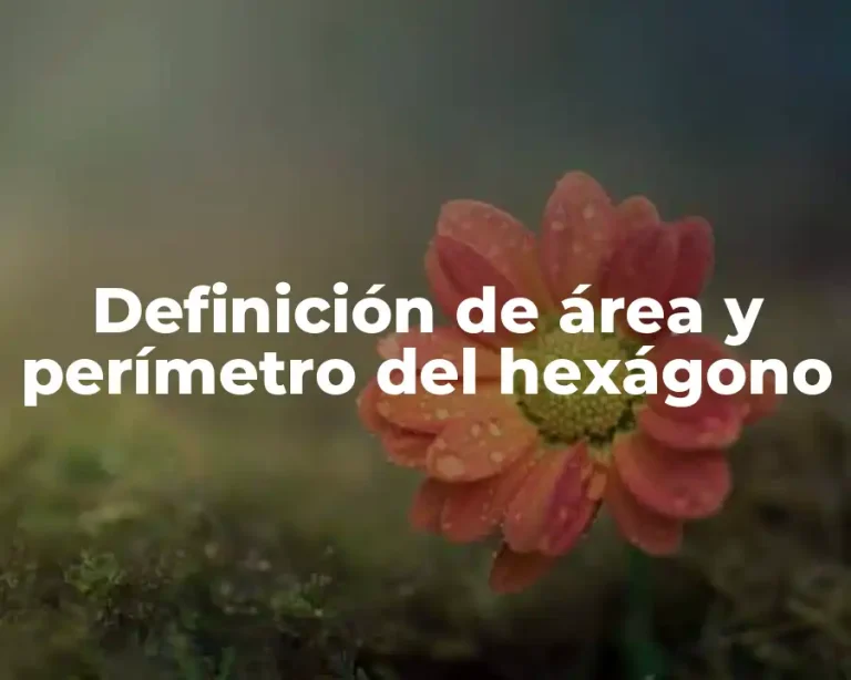 Definición de área y perímetro del hexágono