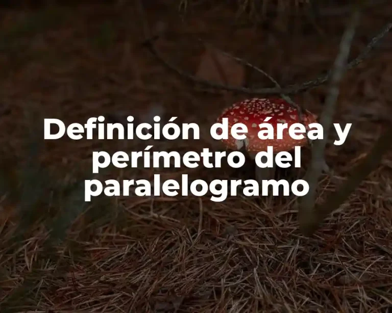 Definición de área y perímetro del paralelogramo