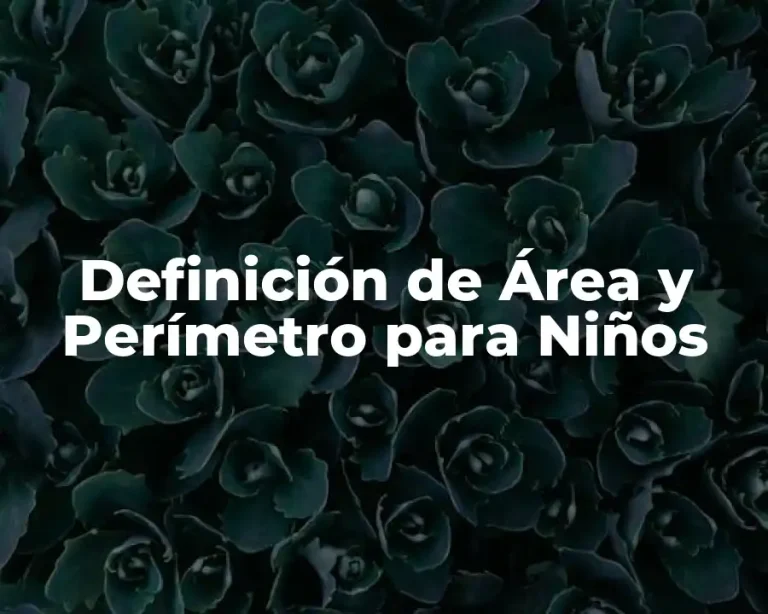 Definición de Área y Perímetro para Niños