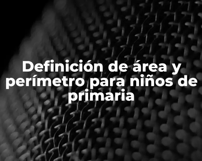 Definición de área y perímetro para niños de primaria