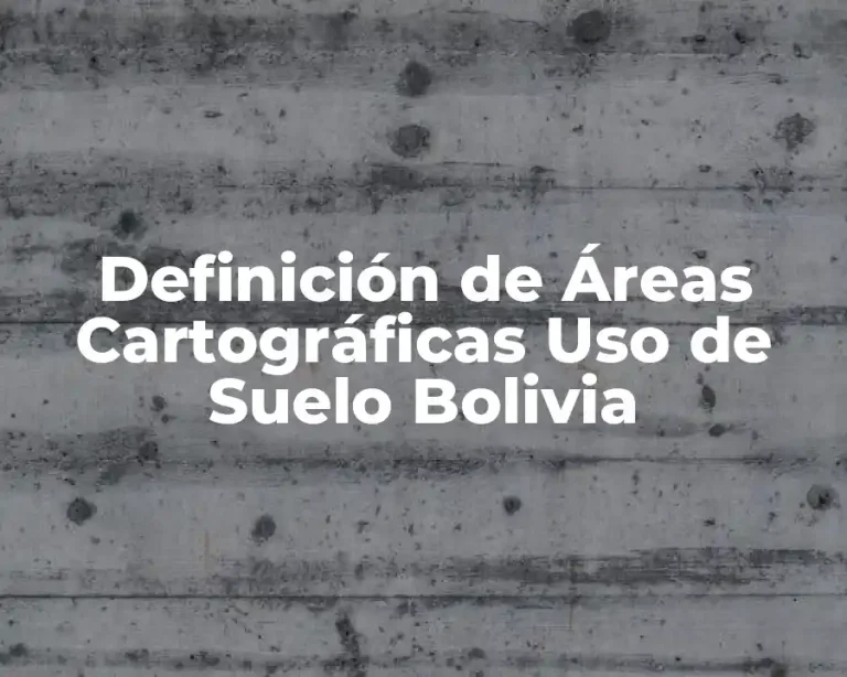 Definición de Áreas Cartográficas Uso de Suelo Bolivia