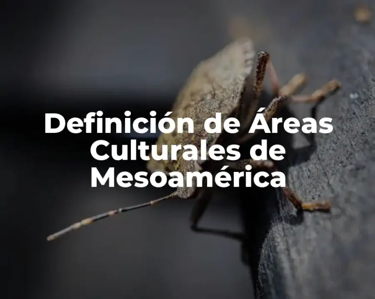 Definición de Áreas Culturales de Mesoamérica