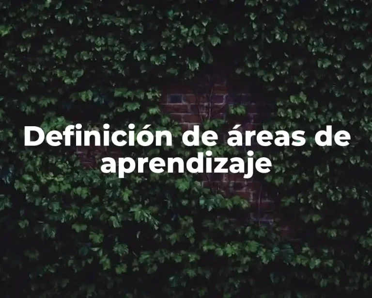 Definición de áreas de aprendizaje