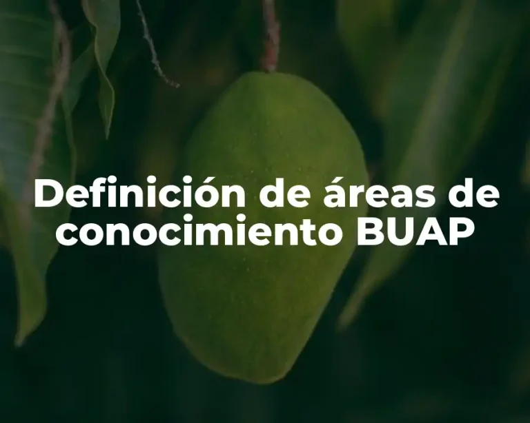 Definición de áreas de conocimiento BUAP
