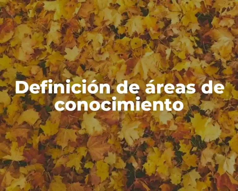 Definición de áreas de conocimiento