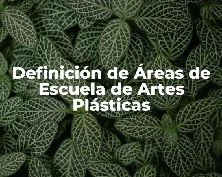 Definición de Áreas de Escuela de Artes Plásticas